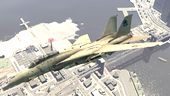 F-14 Tomcat