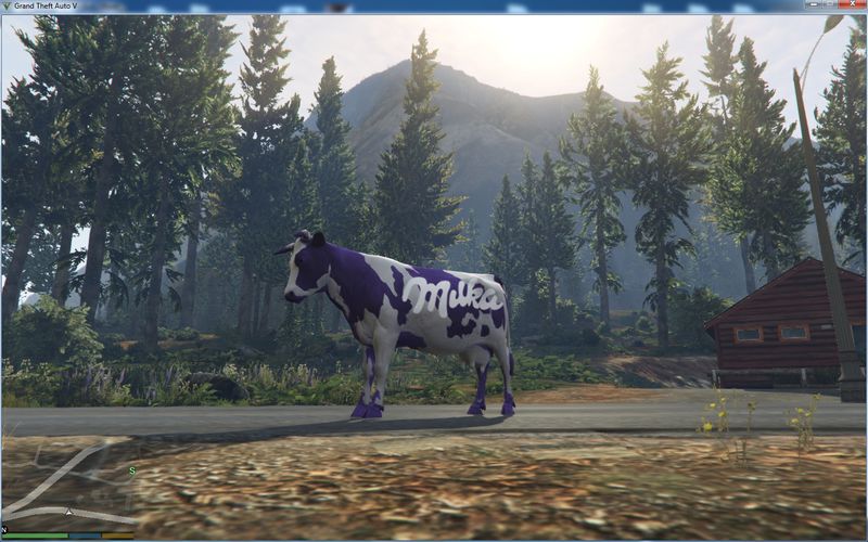 mod