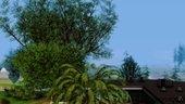 ENB Decision 0.248 V1