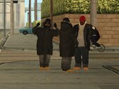 Winter Skinpack (LQ)