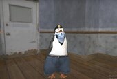 Pinguin From Pabellon T78