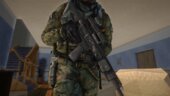 Austria RS556 Assault Rifle