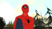 Alex Ross Spider-Man Agrofro