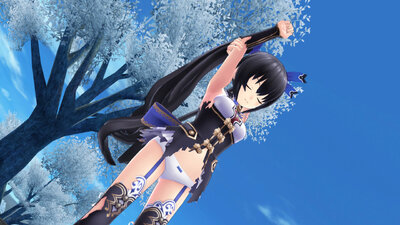 Noire Torn + Tornless [Hyperdimension Neptunia U: Action Unleashed]