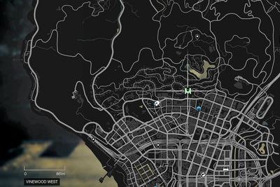 3562 Vinewood West