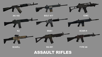 SOLDIER FRONT 2 Weapons Pack