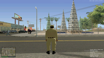 Vietnamese Neighborhood Security Force Skin