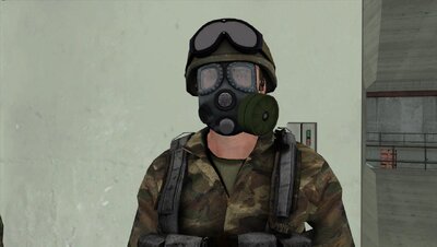 Woodland Army Skins