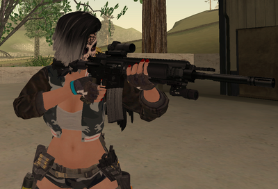 HK416 KAC Aimpoint