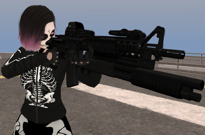 M4 HOLO STERKEY