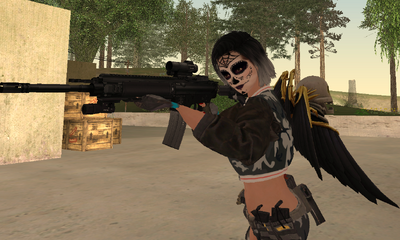 HK416 KAC Aimpoint